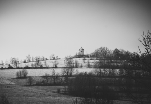 IMG 0010